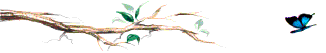 decoration